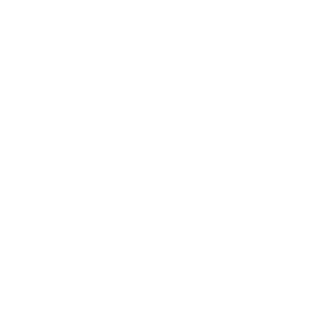 有限会社森工芸